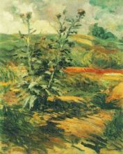 Haga click para ver la imagen ampliada 1888 deux chardons.jpg